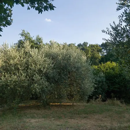 Casa Ai Preti-country Tuscan In 度假居