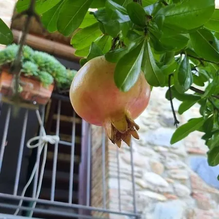 別荘 Casa Ai Preti-country Tuscan In