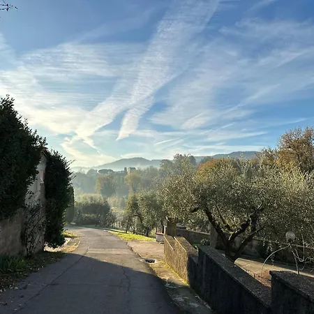 Casa Ai Preti-country Tuscan In 別荘 *